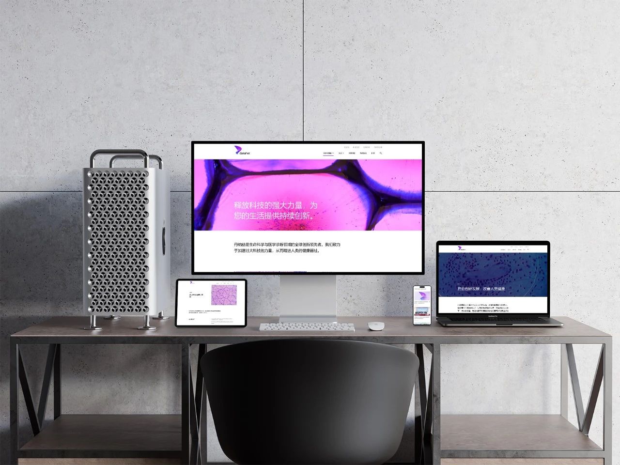 Public/Uploads/ueditor/upload/image/20250301/1740826183354869.jpg 12.jpg