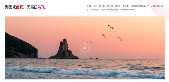 Public/Uploads/ueditor/upload/image/20250310/1741587377553913.png 长4.png